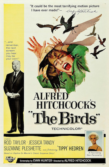 theBirds